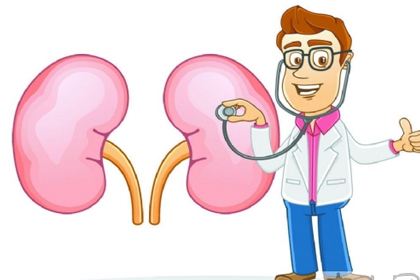 你的腎臟健康嗎？研究表明補(bǔ)硒對(duì)腎臟有保護(hù)作用