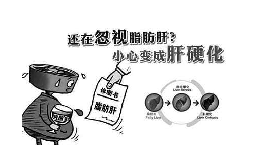  脂肪肝被稱為“隱蔽性肝硬化”，適當(dāng)補(bǔ)硒可降低危害性