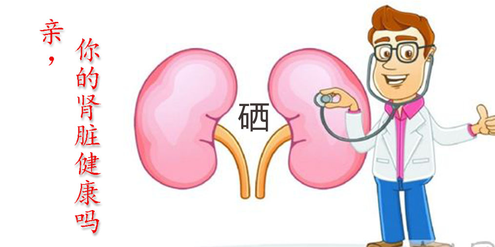 世界腎臟日|關(guān)愛腎臟健康，從補(bǔ)硒開始