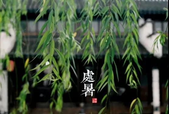 處暑養(yǎng)生小常識(shí)，謹(jǐn)記滋陰潤肺防秋燥
