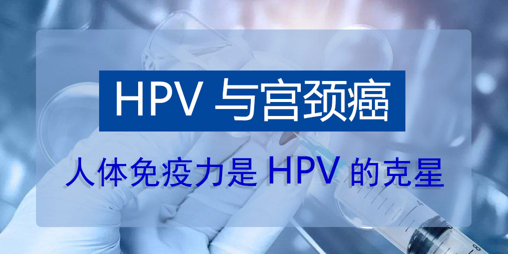 HPV病毒真的那么可怕嗎？人體免疫力是HPV的克星