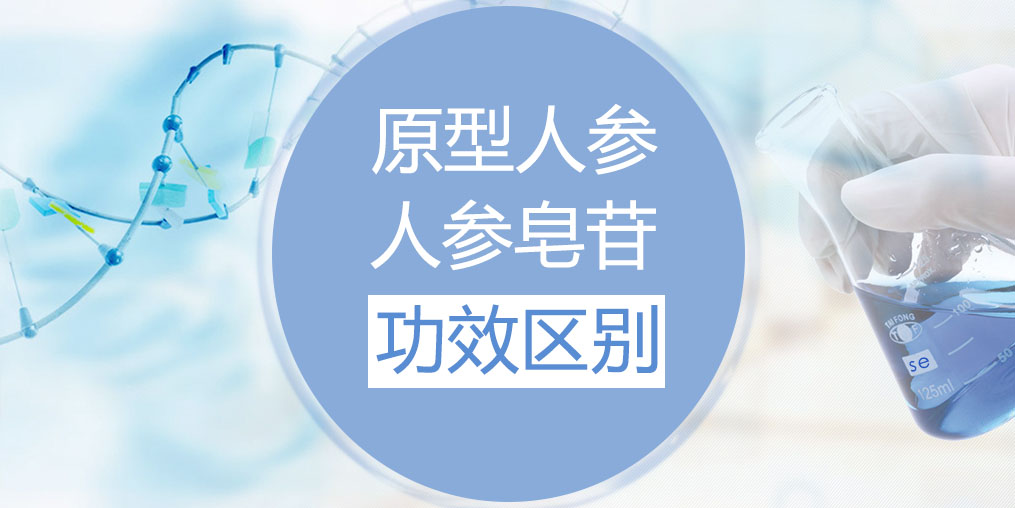 人參和人參皂苷的功效區(qū)別在哪里？