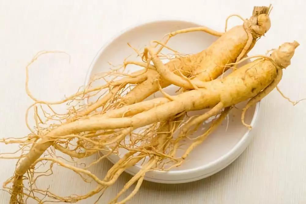 秋季養(yǎng)肺潤(rùn)肺，能吃人參皂苷嗎？