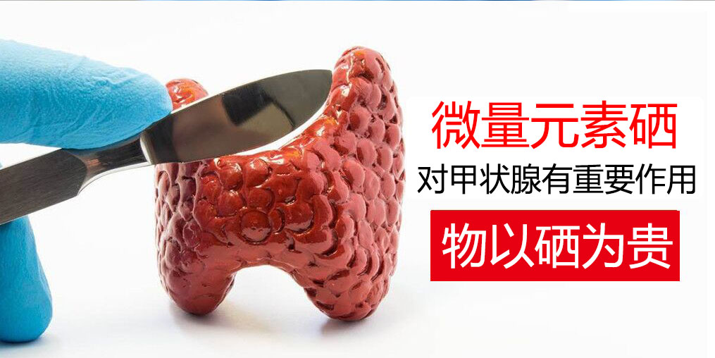 物以“硒”為貴，甲狀腺疾病能適當補硒嗎？