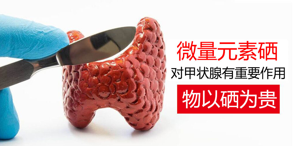 物以“硒”為貴，甲狀腺疾病能適當(dāng)補(bǔ)硒嗎？