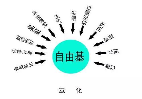 自由基是萬病之源，補硒可以有效清除自由基