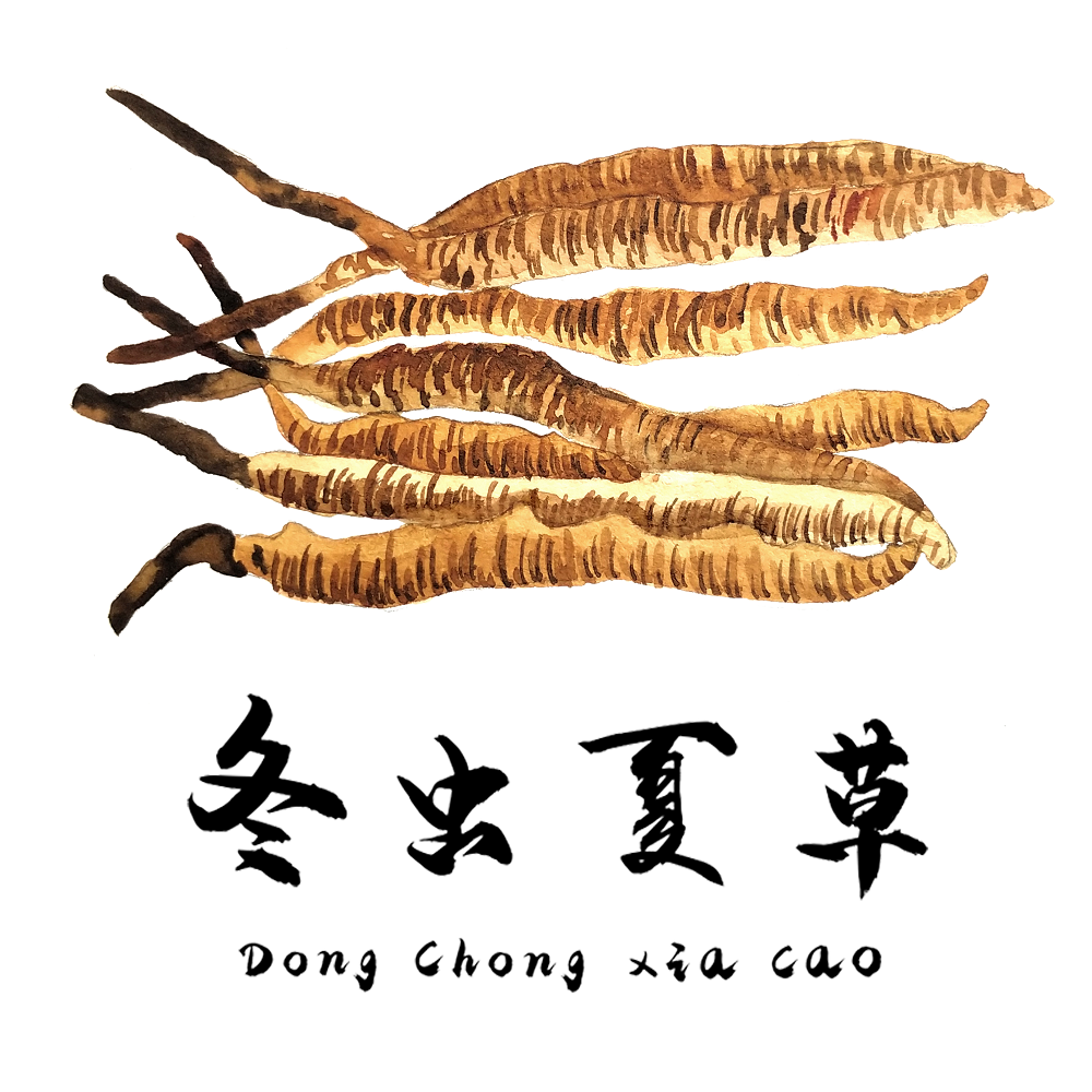 對(duì)于食道癌，冬蟲夏草有一定的改善作用