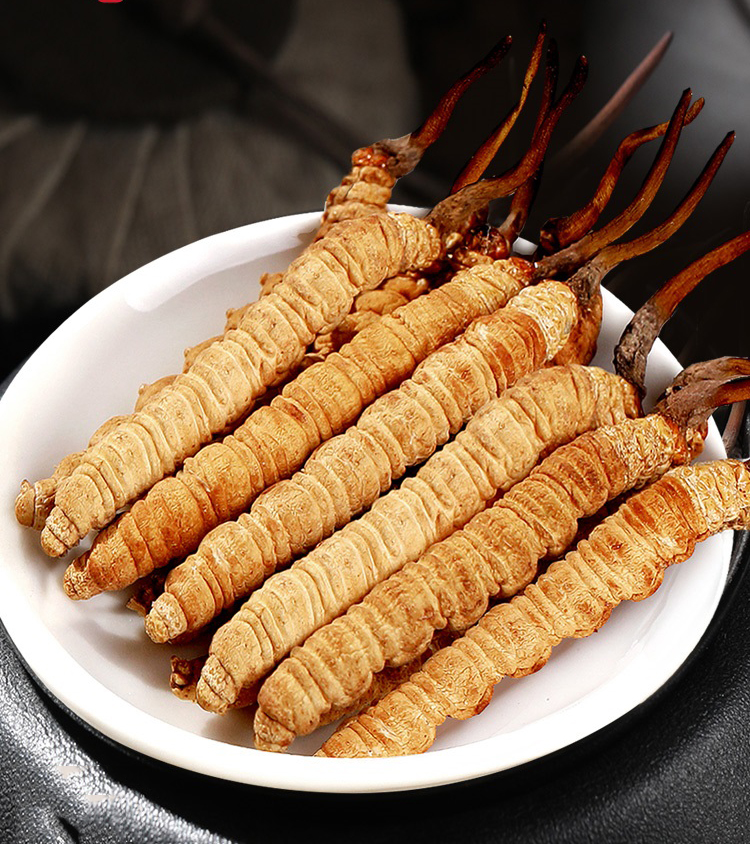 冬蟲(chóng)夏草還能提高免疫力？一起來(lái)看看它的奧秘