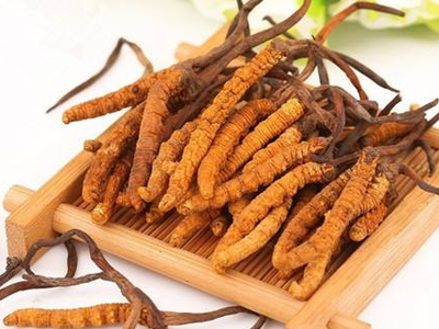 蟲草素？冬蟲夏草里的蟲草素是什么？