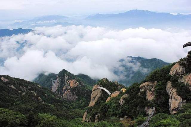 大別山的靈芝孢子粉為什么好？