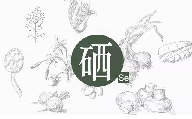 如何科學(xué)補(bǔ)硒？